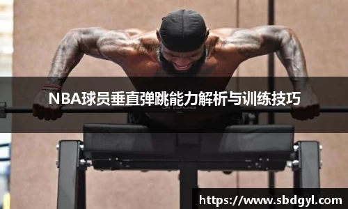 NBA球员垂直弹跳能力解析与训练技巧